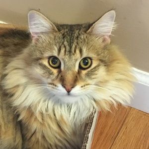 Meet your Posher, Donna